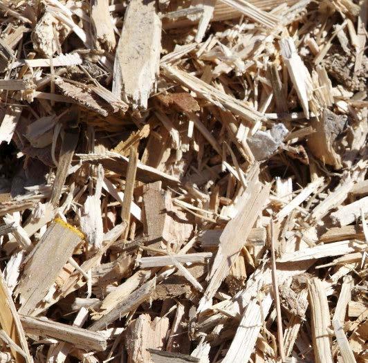 Using biomass as a fuel is significantly cheaper than natural gas and diesel.
