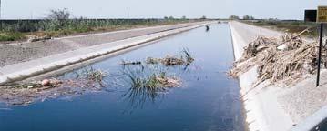Management options Groundwater pumping (subsidence, salinization of production wells) Drainage reuse Increase irrigation