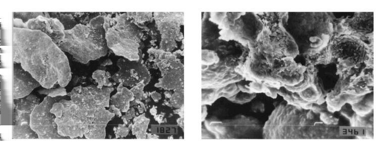 Figure 1: Left: Lamellar zinc dust (SEM, 1000x); Right:
