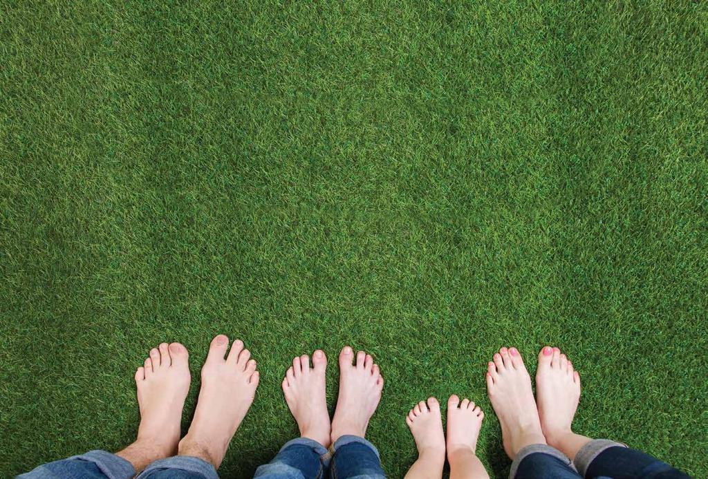 Standard Carpets brings you a selection of synthetic grasses suitable for both landscaping and other specialized purposes.
