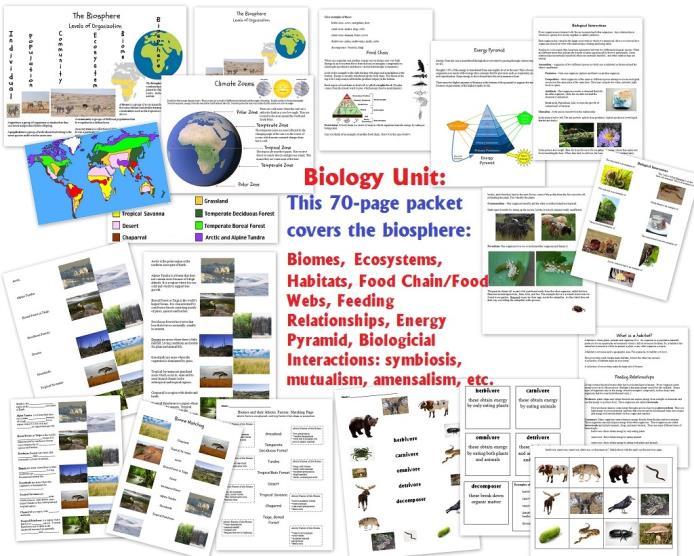 wild animals Biology Packet: Biomes, Ecosystems,