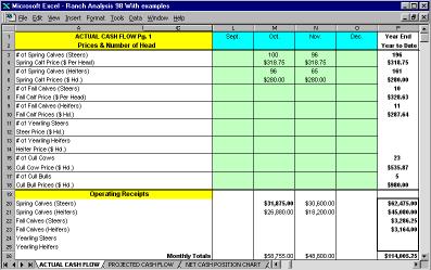 Example 1. Operating Receipts 1 Steers at $318.75 per head. The gross income from the steers is automatically calculated into the correct cell under the operating receipts.