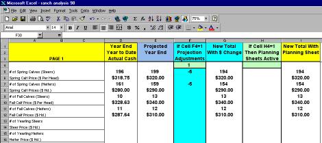 The new heading will then automatically show on both the Projected Cash Flow Sheet and the Control sheet.