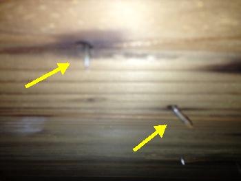 Attics with high humidity and improperly operating ventilation often have rusted nails, recommend terminating all exhaust vents to the exterior of the home, and increasing the ventilation 4.