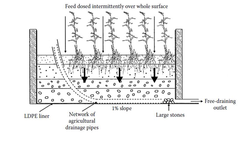 Vertical Flow Wetlands Gravel or soil beds planted with wetland vegetation Continuous vs.