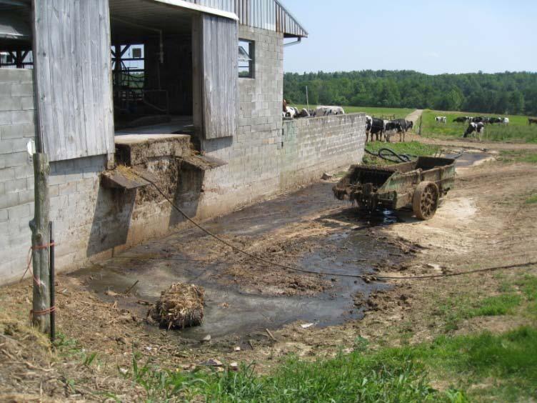 Livestock Waste management, Water facility,