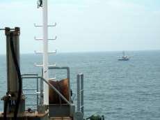 Environmental Protection Measures Protection of Endangered Species at Sea (by Contractor) Non-capture