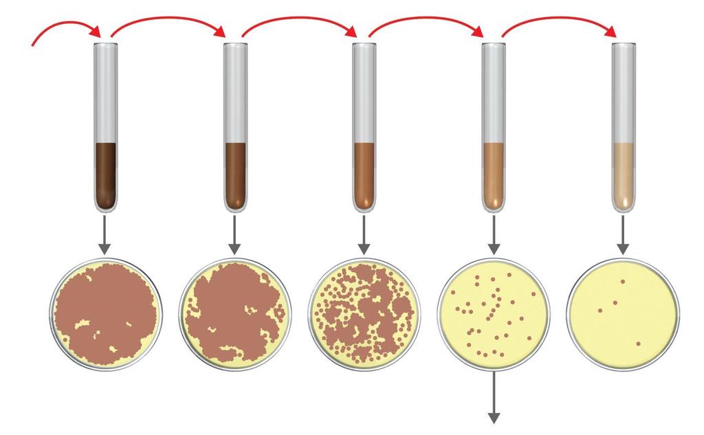 Direct Measurements of Microbial Growth Viable cell counts: Plate