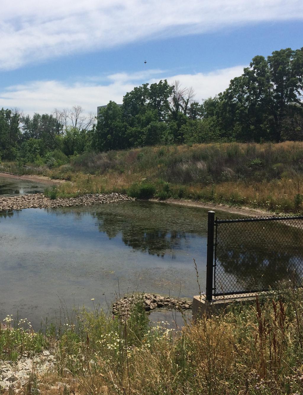 Stormwater Management State of Local Infrastructure Stormwater management assets are built to minimize downstream flooding and erosion, support the capturing and settling of pollutants and play a