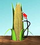 Ethanol Produced from sugar, starch or cellulose (all plant material) Corn typically used, but sugar beets, sorghum also used Burns cleaner