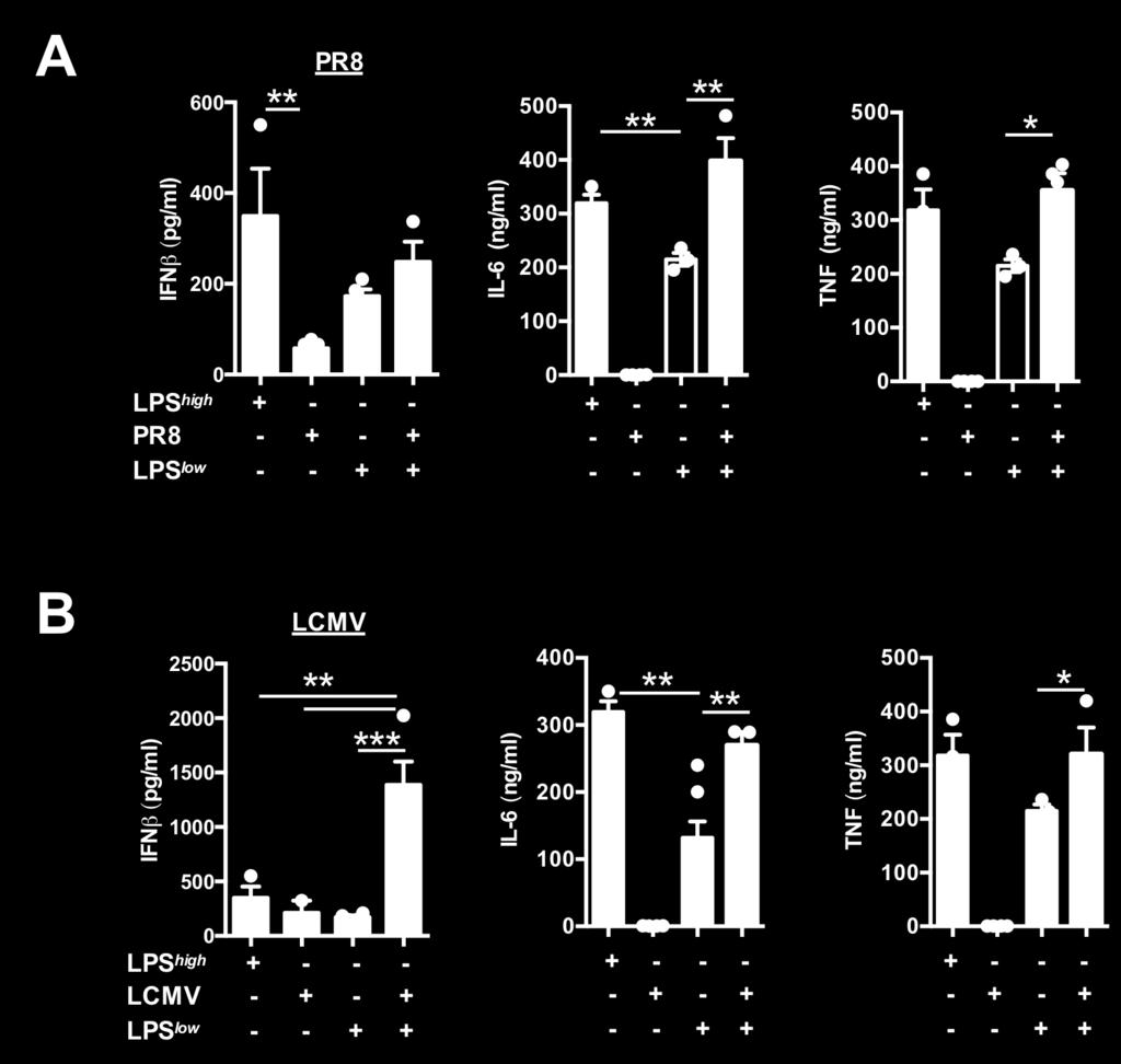 Supplementary Figure 3. Viral infection primes for secondary inflammatory challengedriven cytokine production and induction of preterm birth in mice.