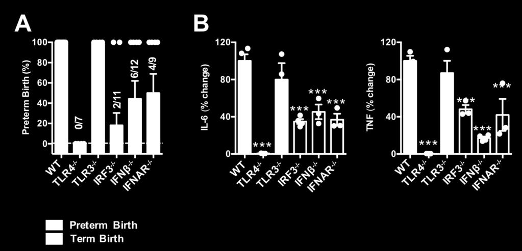 Supplementary Figure 5. Protection from LPS-driven PTB in mice lacking TLR4 and type I IFN signaling.