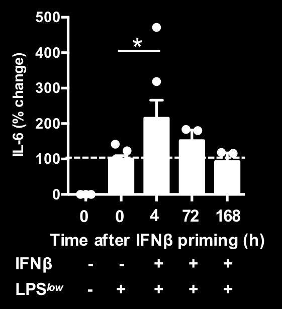 primed with IFN-β and challenged with LPS low and serum IL-6 levels were quantified by IVCCA.