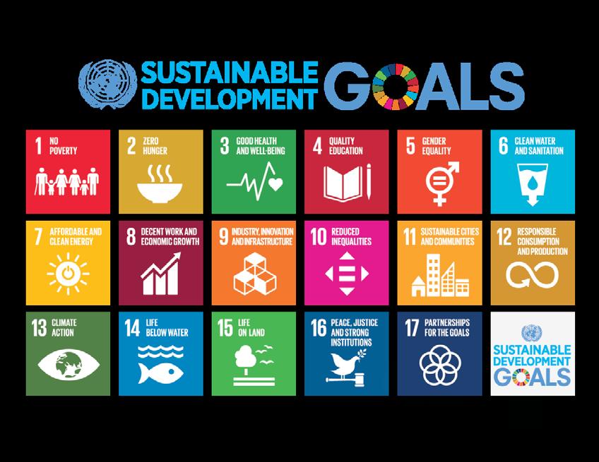 THE ROLE OF IDAL IN ACHIEVING THE UNITED NATIONS SUSTAINABLE DEVELOPMENT GOALS IN LEBANON INTRODUCTION In 2016, the UN launched its 2030 Agenda for Sustainable Development, which revolves around 17
