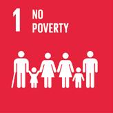 THE ACTIVITIES OF IDAL IN SUPPORT OF THE GOAL #1 ELIMINATING POVERTY Most of the activities and services of IDAL support either directly or indirectly the implementation of some of the 17 SDGs in