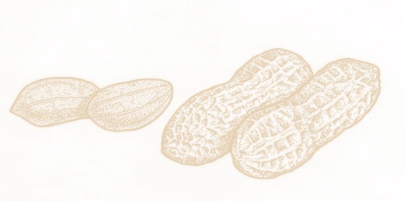 A Guide to On-Farm Testing for Peanut Growers KNOWING YOUR FIELD A Guide to On-Farm Testing for Peanut Growers To maximize profit when growing peanuts, farmers rely on recommendations for variety