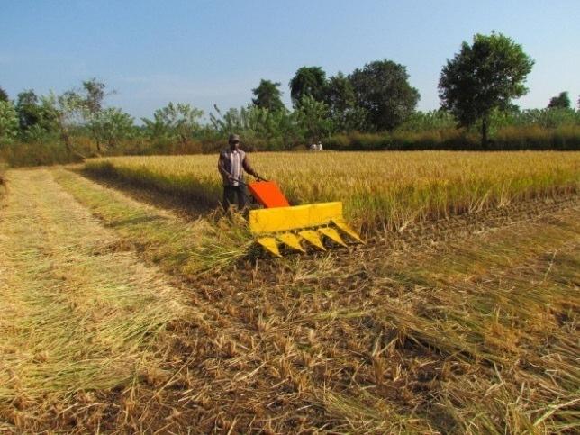 New Machines developed by DBSKKV Dapoli Self Propelled Paddy Reaper Average field capacity was found to be 0.144 ha/h ( about 1 ha/day) Average time required to cover one ha was 6.