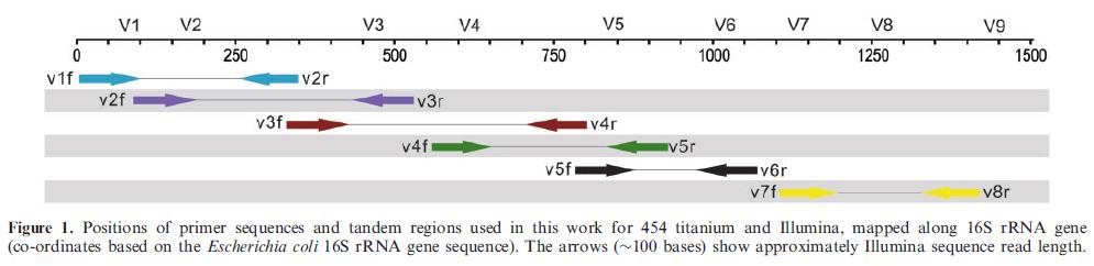 Variant regions of 16S rrna gene We find that different taxonomic assignment methods vary radically in their ability to recapture the taxonomic information in full-length 16S rrna sequences: most