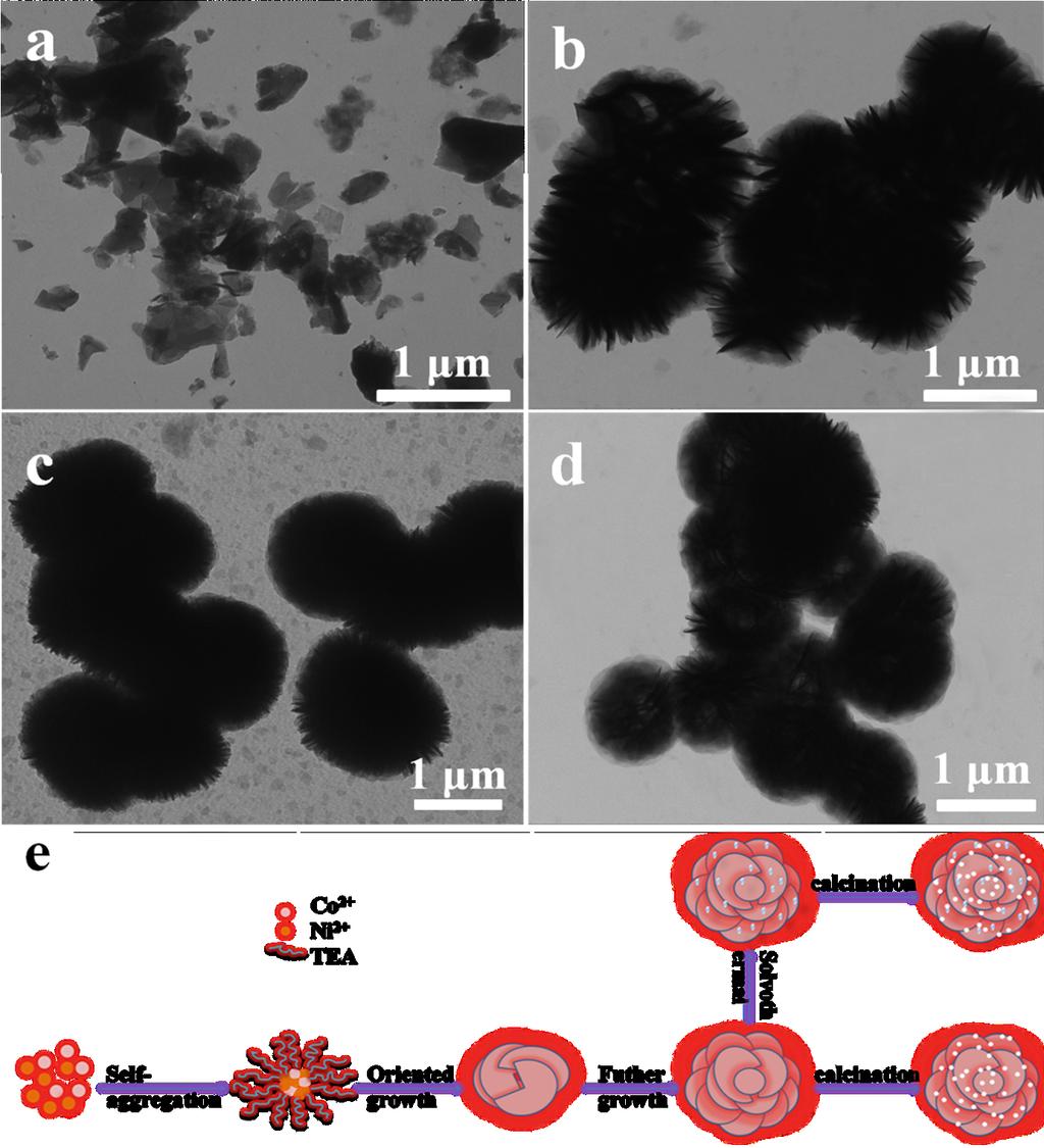 Fig. S8 TEM images of the Ni-Co-based precursors synthesized with