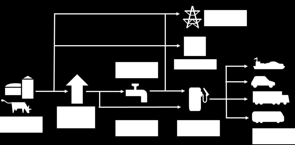 Figure 1 Supply chain of biomethane 1.