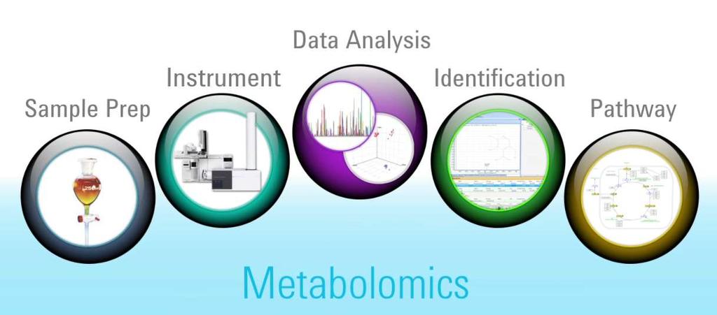 Challenges of Metabolomics Total Workflow All Steps