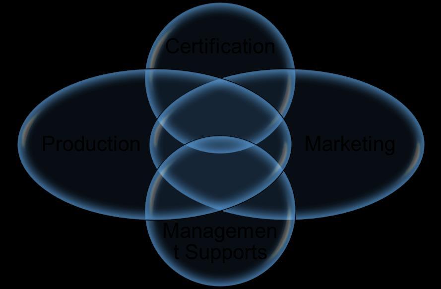Conceptual Framework of the GAP