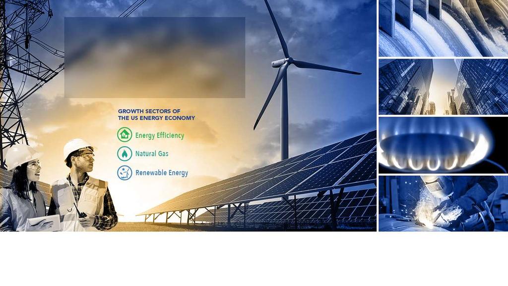 2018 Sustainable Energy In America Factbook No portion of this document may be reproduced, scanned into an electronic system,