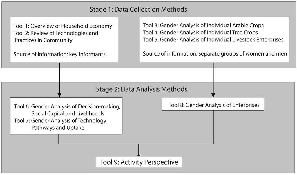 3. Tools for Gender Analysis This section presents nine tools that may be used to collect and analyse gender disaggregated data about women s and men s involvement in agricultural production and