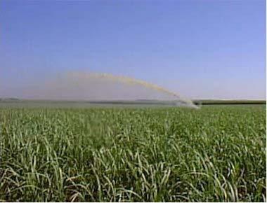 Ferti-irrigation Ferti-Irrigation with stllage (vinasse) helps to reduce use