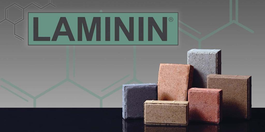 P A V E R I N F U S I O N T E C H N O L O G Y WHAT IS LAMININ? LAMININ Paver Infusion Technology is a revolutionary new manufacturing technology that infuses Hanover pavers from the inside out.