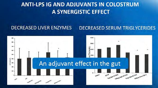 IMM-124E demonstrated an adjuvant effect in the gut, decreasing liver enzymes and serum triglycerides: Additionally, treatment led to decreased