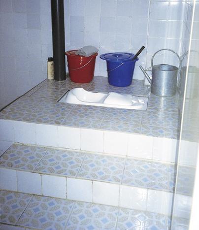 (Sanres 2000). Porcelain squatting plates are also produced in a factory outside Beijing (Esrey et al 1998). These examples illustrate a high class installation as well as innovation.