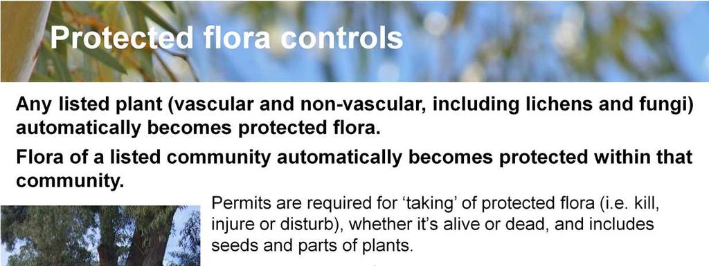 Non-vascular plants means liverworts, mosses