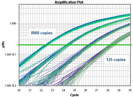 Figure 4c: Real-Time PCR amplification curves for 48 replicates of 2 copies of template in an RNaseP assay.