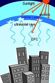 noticed CFCs destroy Ozone!