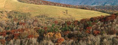 Appalachian Mountain: Valley and ridges; Various