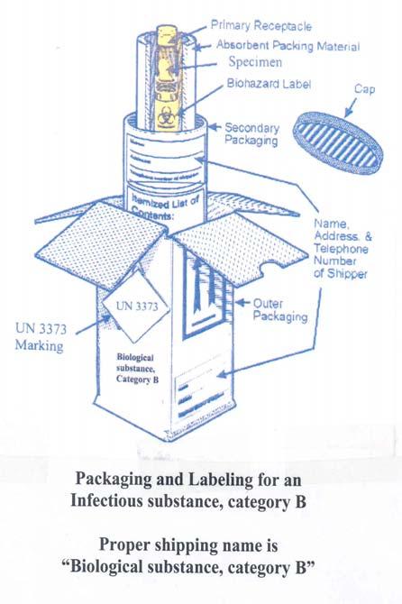 A primary receptacle is the container (e.g., tube vial, bottle) that holds the specimen.