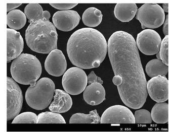 Metrology needs for Additive Manufacturing Powders Powders for AM are typically tens of micrometers in size, and have morphologies that are generally spherical, although a given batch of powder may