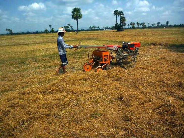 particularly in areas with rainfall uncertainty at the start of the wet-season and on account of the reduced labour availability and increasing labour cost for transplanting of rice crops.