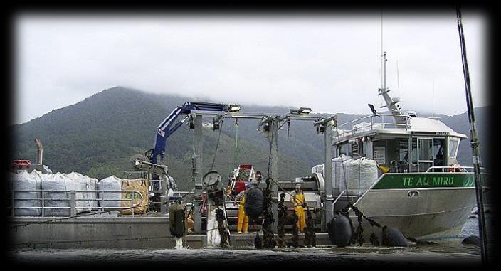 New Zealand Both the transportation and seafood infrastructure in New Zealand are enhanced by a $1 billion wild fishery where many of the major companies process, distribute and market both