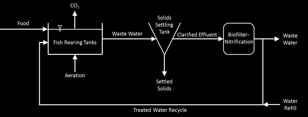 Recirculating Aquaculture System System overview Tilapia characteristics FCR: 1.