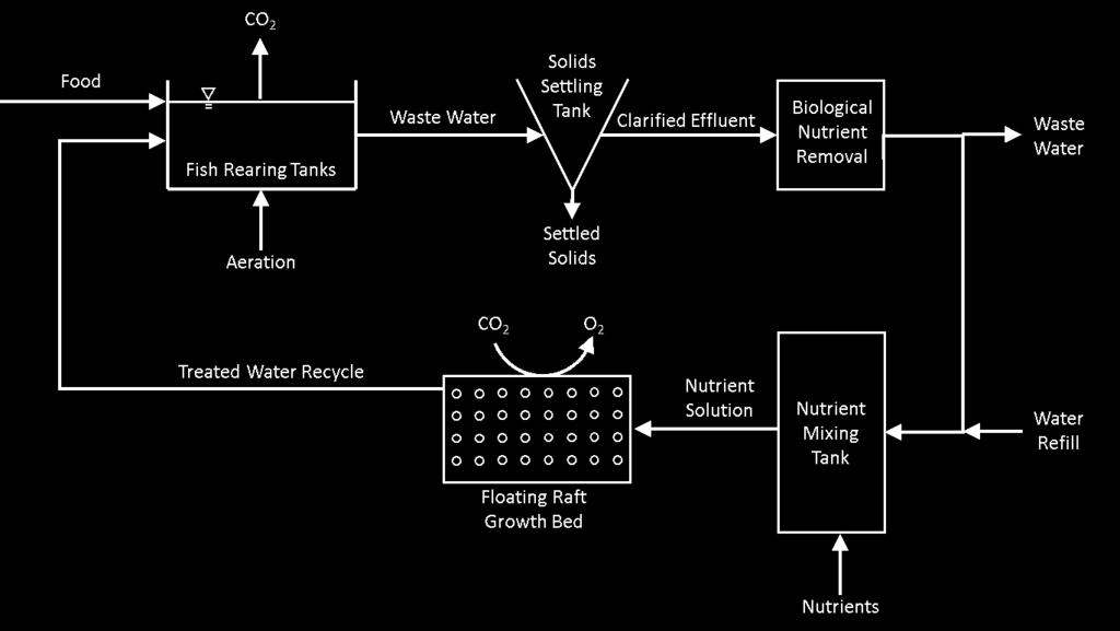Aquaponic System System overview Aquaculture and hydroponic systems combined Equivalent annual production 64 tons live weight