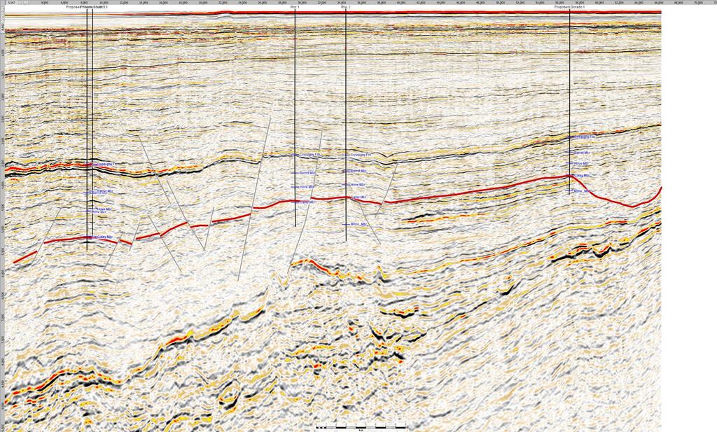 3D seismic image red line is top of Caley