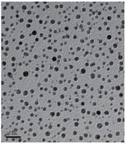 Ag Nanoparticle Water Dispersion Features : Contain size-consistent, evenly distributed Ag