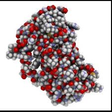Colony-Stimulating Factor MW=18,800 Daltons 3 Anti-RSV Monoclonal Antibody MW up to 150,000 Daltons 4 MW,