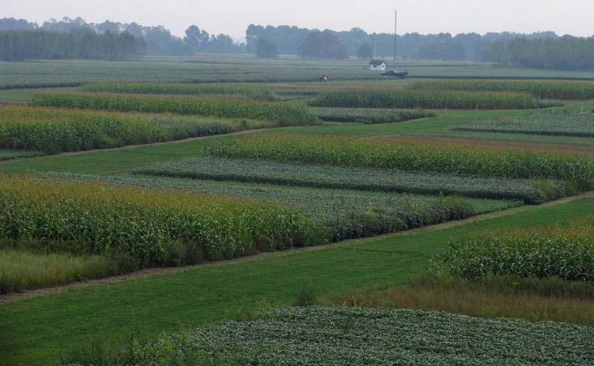 EPRI-MSU Phase 2 N 2 O Offset Project Moving from Field Studies to Offset Projects Developing GHG Emissions Offsets by Reducing Nitrous Oxide (N20) Emissions in Agricultural Crop Production: Phase 2