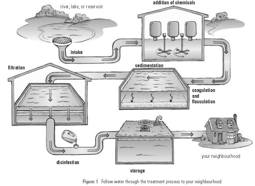 Label the seven steps of the water treatment process diagram: What Did You Learn? Try these questions: Indicate whether each statement is true or false.