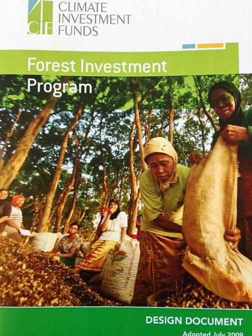 Purpose of the FIP (see para 10 DD) Established to support developing countries REDD efforts by providing up-front bridge financing for readiness reforms and public and private investments identified