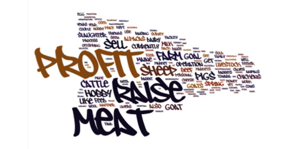 More Maine Meat Survey 4 following image in Image gives a visual picture of the most common words that were expressed in the text.