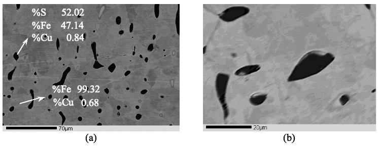 Recovery of Iron from Copper Flash Smelting Slags Figure 5: Micrograph of the iron alloy contained 98,9% of iron: (a) 500X and (b) 1600X In this figure, it can be seen a metallic phase containing 99.